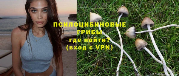кокс Алексин