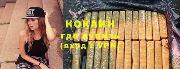 кокс Алексин