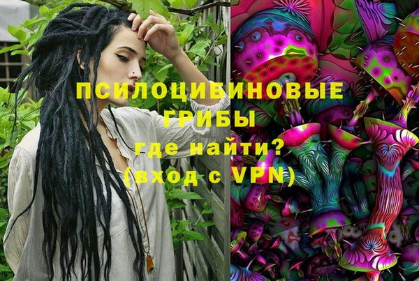 меф Переславль-Залесский
